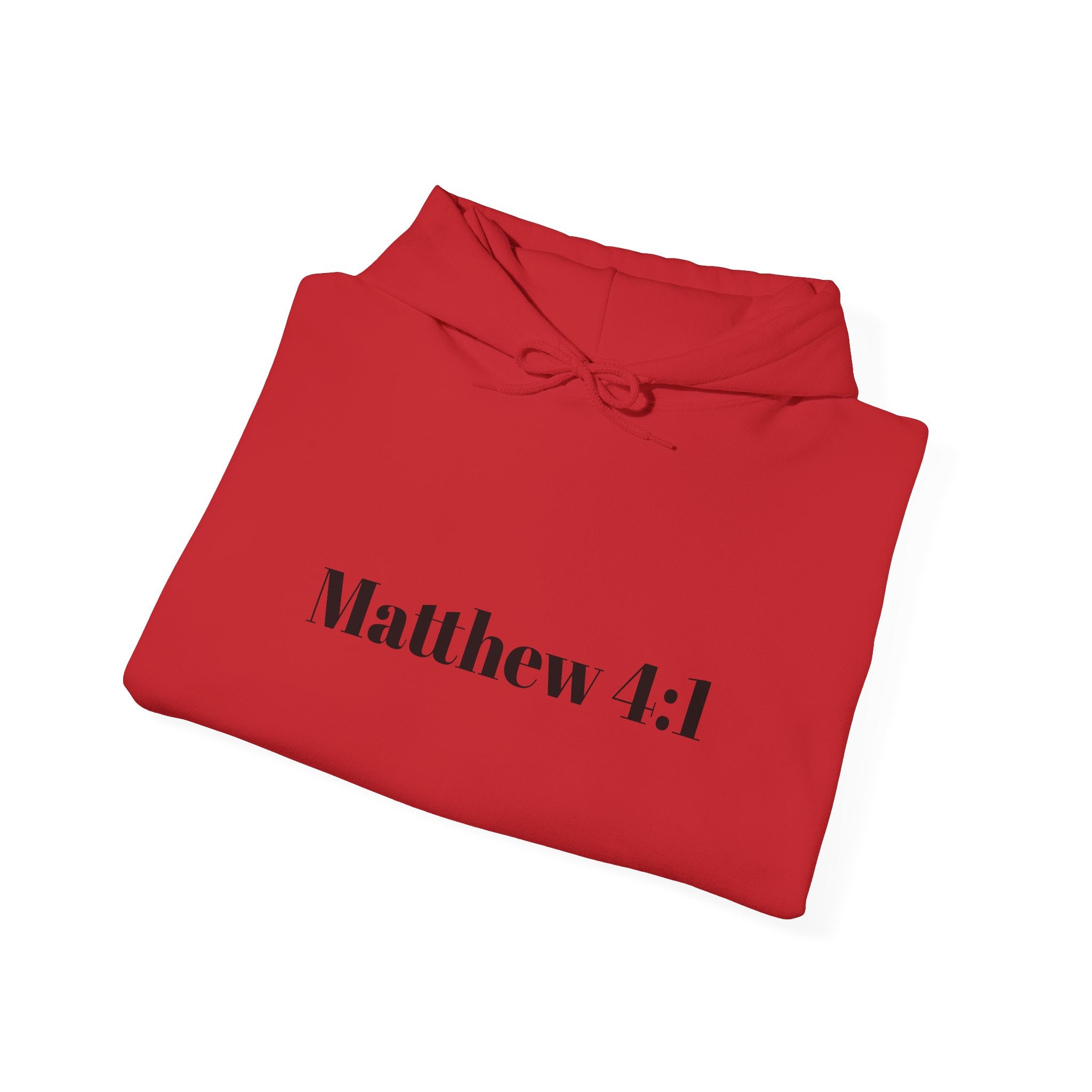 Matthew 4:1 Hoodie | 40 Illustration Back Scripture Sweatshirt