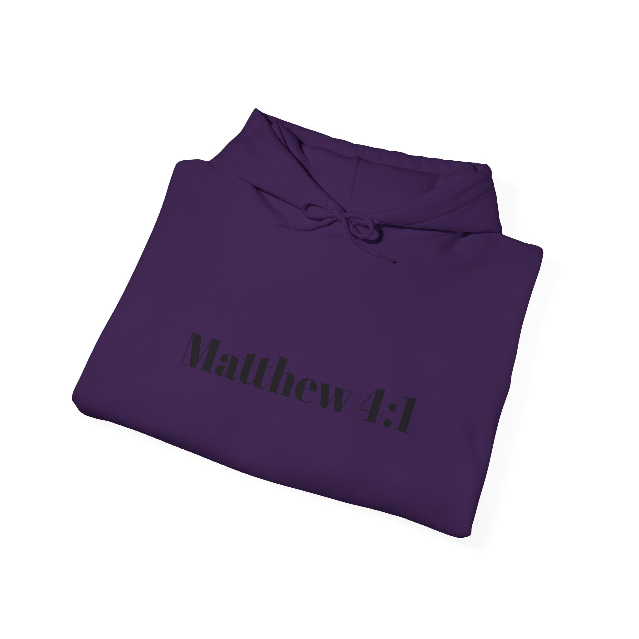 Matthew 4:1 Hoodie | 40 Illustration Back Scripture Sweatshirt
