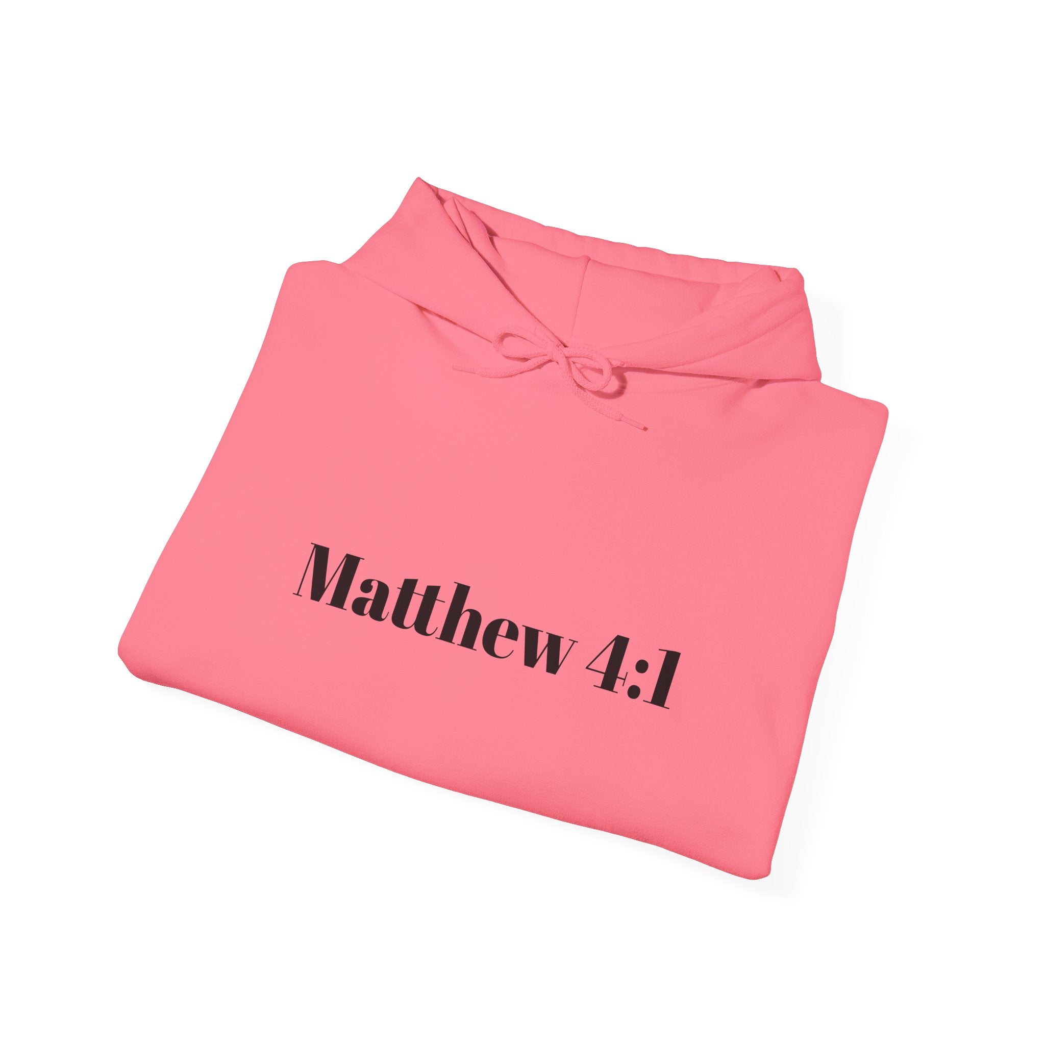 Matthew 4:1 Hoodie | 40 Illustration Back Scripture Sweatshirt