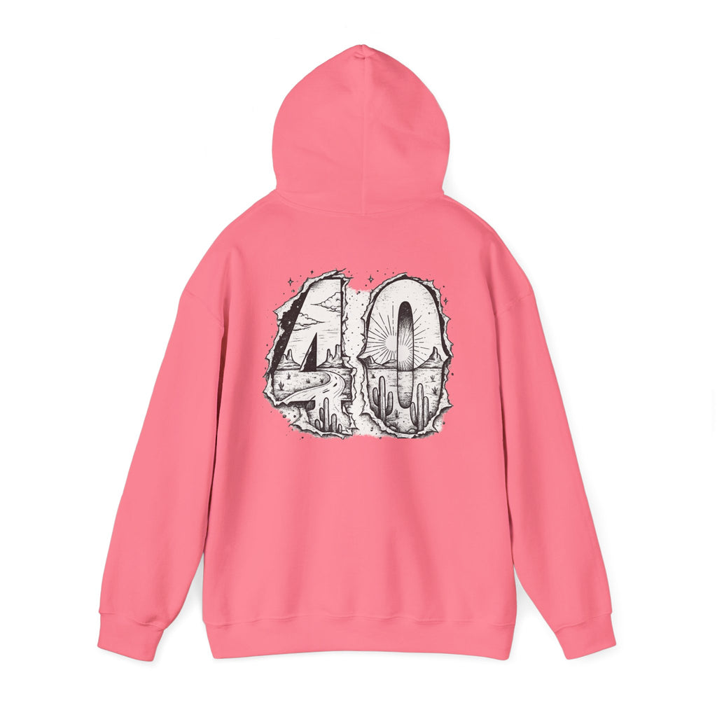 Matthew 4:1 Hoodie | 40 Illustration Back Scripture Sweatshirt