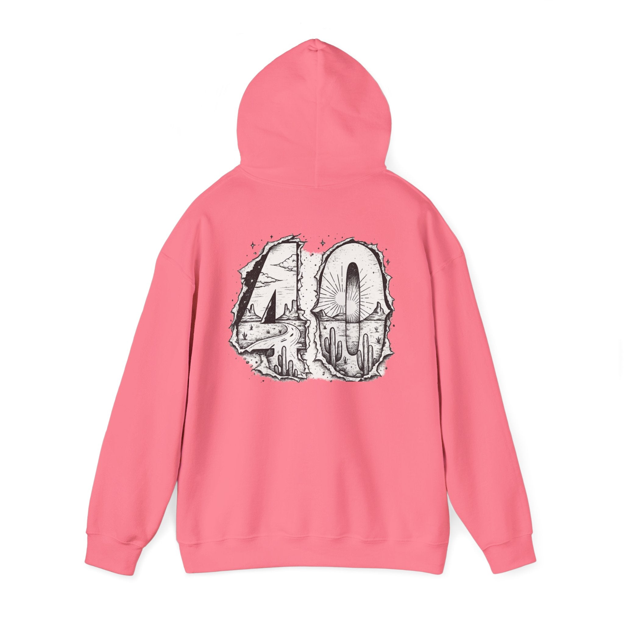Matthew 4:1 Hoodie | 40 Illustration Back Scripture Sweatshirt