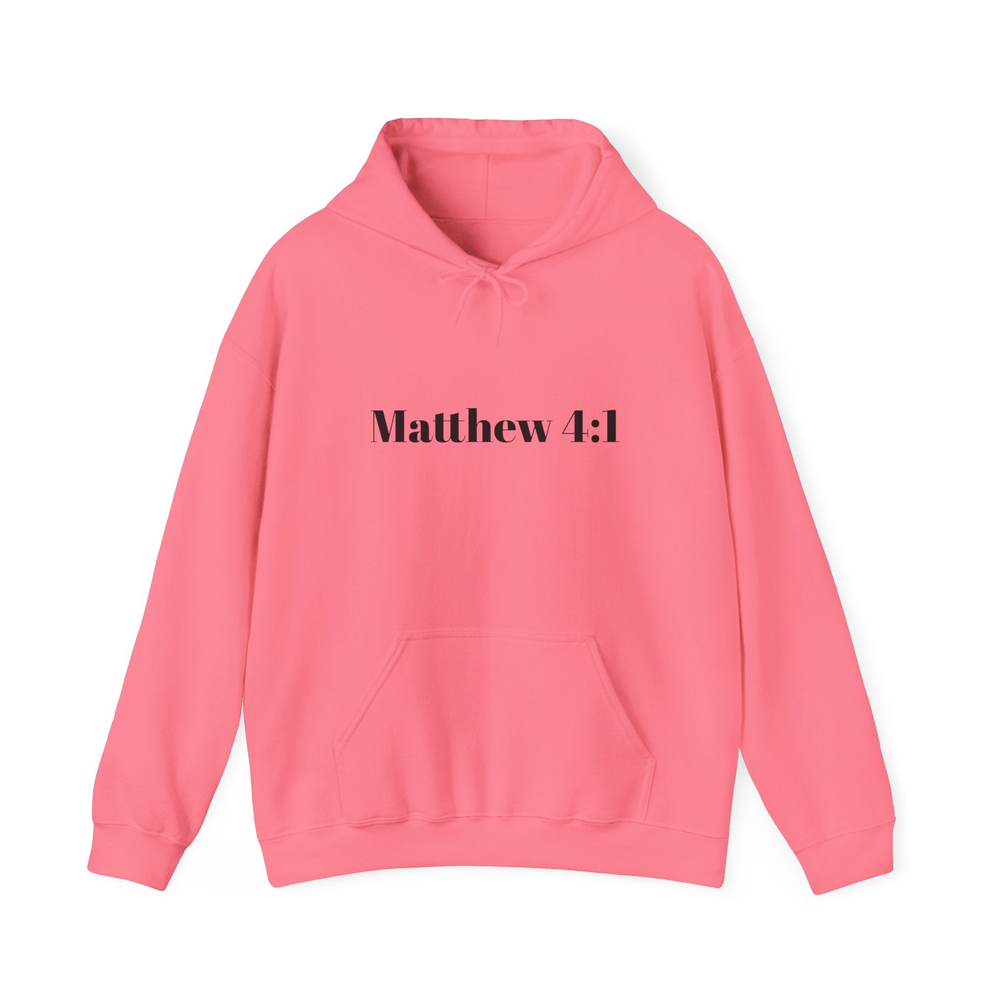 Matthew 4:1 Hoodie | 40 Illustration Back Scripture Sweatshirt