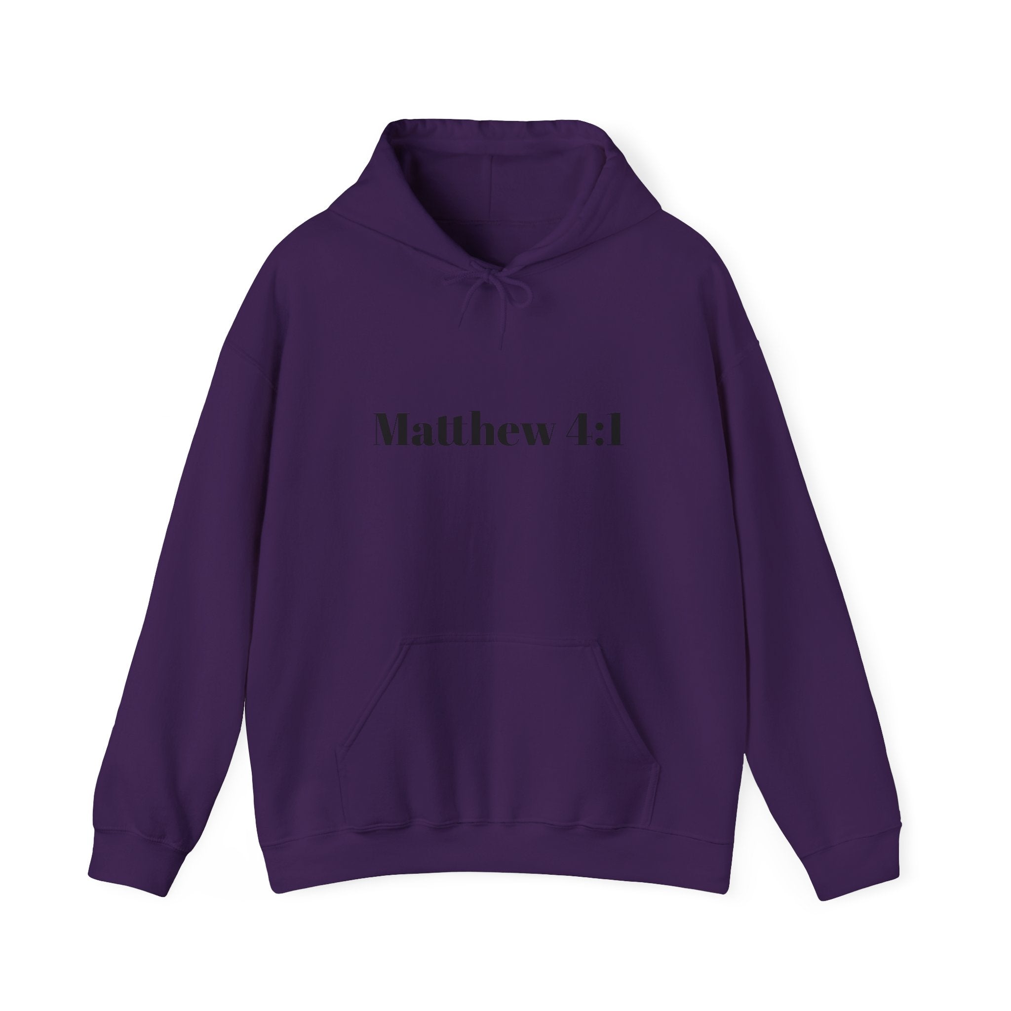 Matthew 4:1 Hoodie | 40 Illustration Back Scripture Sweatshirt