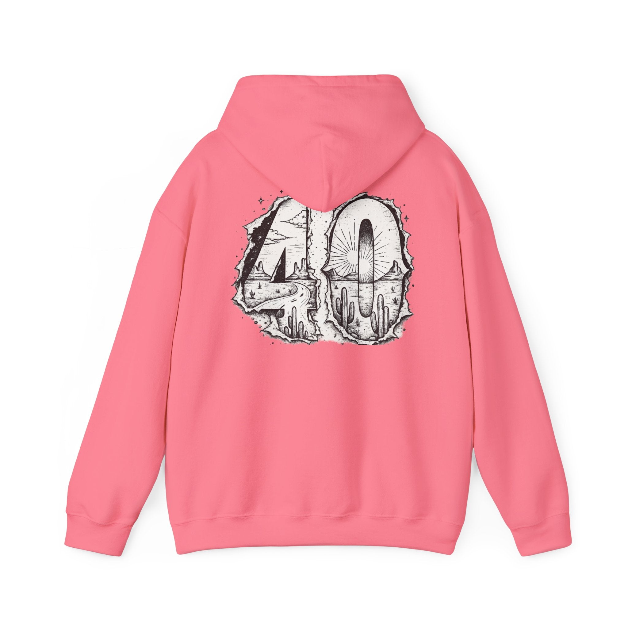 Matthew 4:1 Hoodie | 40 Illustration Back Scripture Sweatshirt